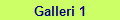 Galleri 1